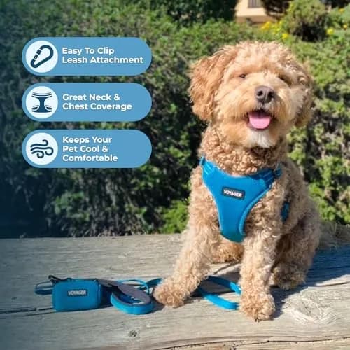 Best Pet Supplies Voyager Step-in Flex Dog Harness - Turquoise, Medium | Adjustable, Breathable & Reflective thumbnail 5