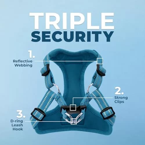 Best Pet Supplies Voyager Step-in Flex Dog Harness - Turquoise, Medium | Adjustable, Breathable & Reflective thumbnail 2