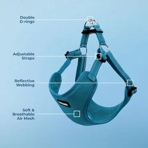Best Pet Supplies Voyager Step-in Flex Dog Harness - Turquoise, Medium | Adjustable, Breathable & Reflective thumbnail 3