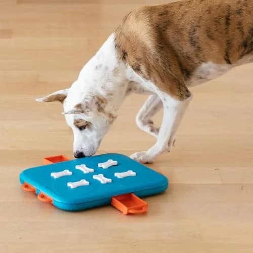 Outward Hound Nina Ottosson Dog Casino Treat Puzzle Toy 35.56 cm (14") | Advanced Level 3 Interactive Dog Enrichment thumbnail 8