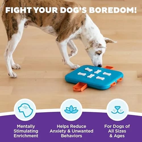 Outward Hound Nina Ottosson Dog Casino Treat Puzzle Toy 35.56 cm (14") | Advanced Level 3 Interactive Dog Enrichment thumbnail 2