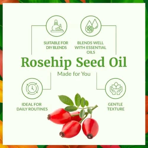 SVA ORGANICS Organic Rosehip Seed Oil 4 Fl Oz (118 ml) - Pure & Natural Carrier Oil thumbnail 3