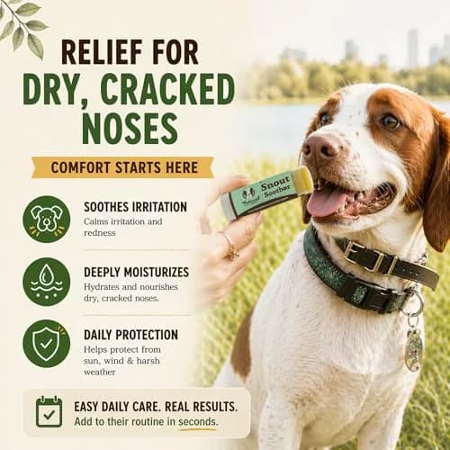 Natural Dog Company Snout Soother 1 oz Tin | Nourishing Nose Balm for Cracked & Dry Snouts thumbnail 6