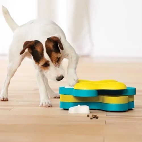 Outward Hound Nina Ottosson Dog Tornado Treat Puzzle 9.75" x 7.25" x 3.07" | Interactive Enrichment for Dogs thumbnail 8