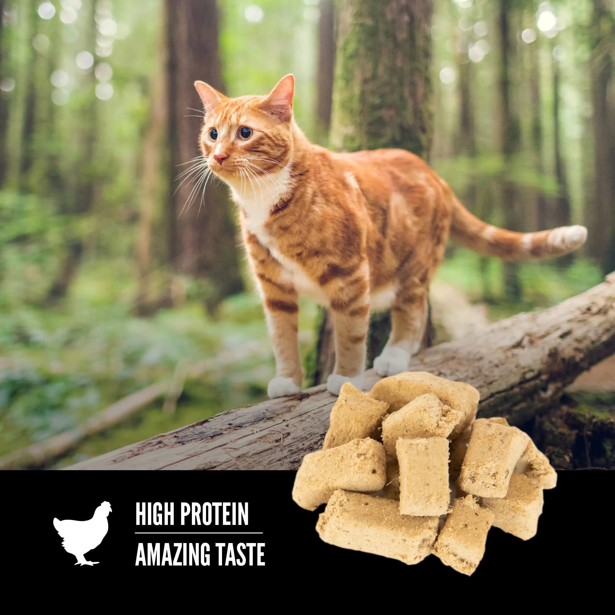ORIJEN Original Recipe Freeze-Dried Cat Treats | 1.25oz (35g) Bag | 99% Animal Ingredients, High Protein - view 3