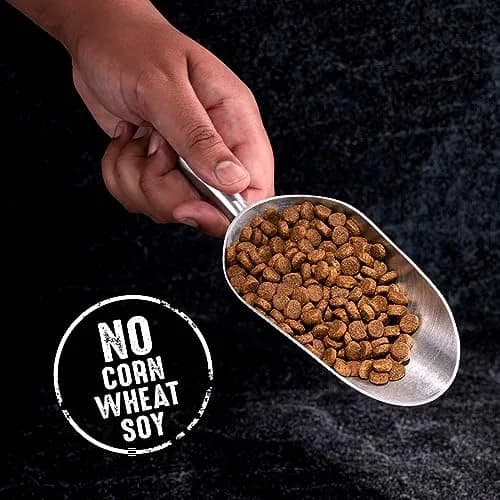 CRAVE Grain Free High Protein Adult Dry Dog Food, White Fish & Salmon, 4 lb. Bag | Protein-Rich, Grain-Free Nutrition for Dogs thumbnail 7