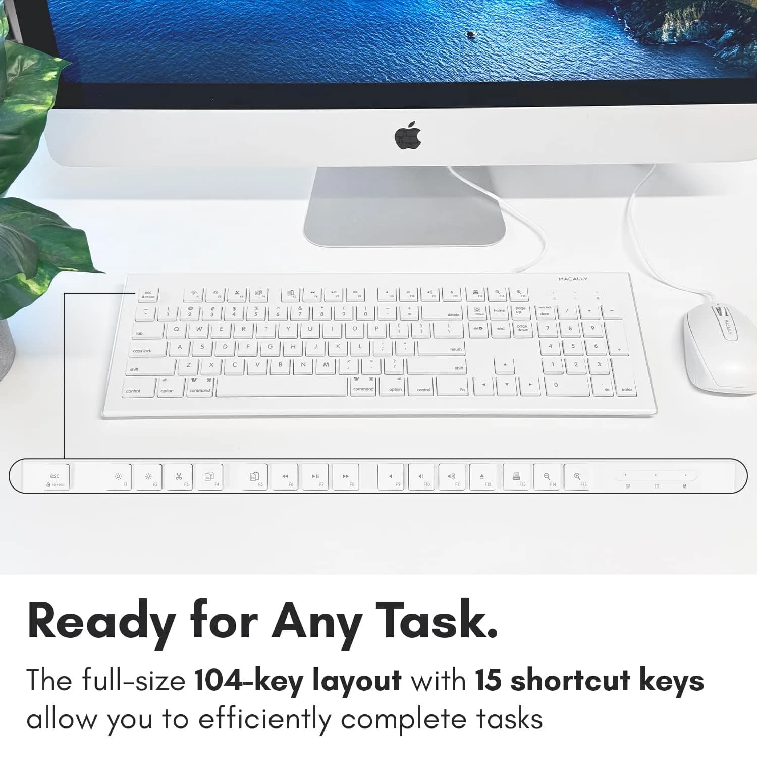 Macally MKeyE Full Size USB Wired Keyboard - White, 17.80in. x 6.20in. x 1.00in. Dimensions - view 4