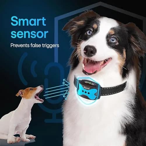 DogRook Humane Rechargeable Bark Collar for Dogs | 11-110lb, 9-22in Neck, Waterproof, Vibration & Beep thumbnail 4