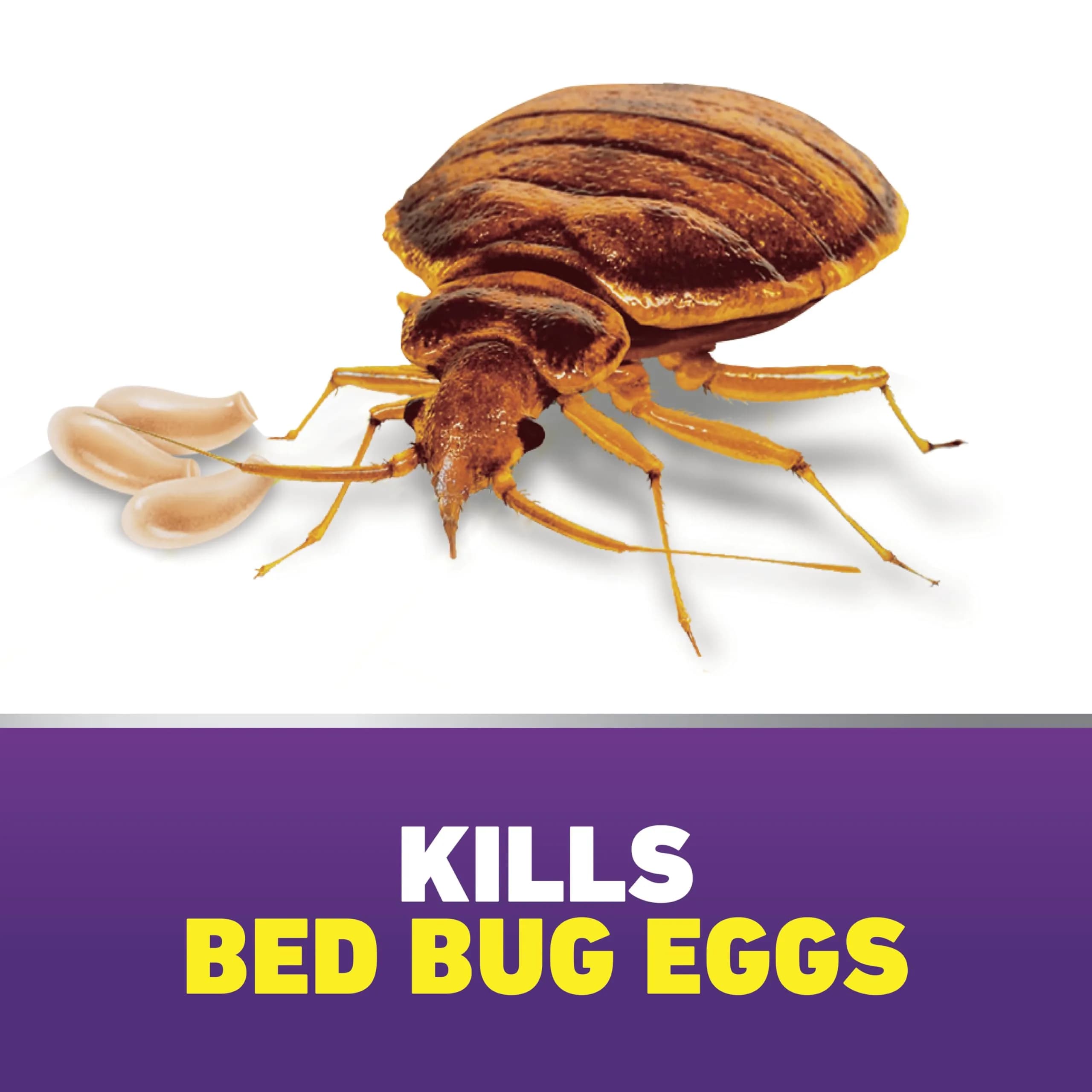 Ortho Home Defense Max Bed Bug & Flea Killer Aerosol Spray - Long-Lasting Insect Control for Your Home - view 3
