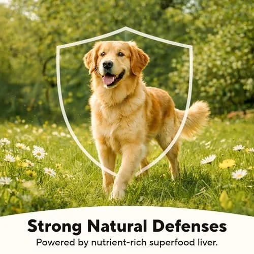 Dave's Pet Food Wet Dog Food, Turkey & Sweet Potato Stew, 13.2 oz | Grain-Free, USA Made, All Natural thumbnail 5