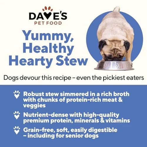Dave's Pet Food Wet Dog Food, Turkey & Sweet Potato Stew, 13.2 oz | Grain-Free, USA Made, All Natural thumbnail 2