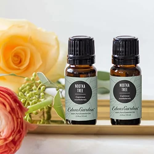 Edens Garden Nootka Tree Essential Oil 30 ml | Pure, Woody Aroma for Relaxation & Diffuser Use thumbnail 2