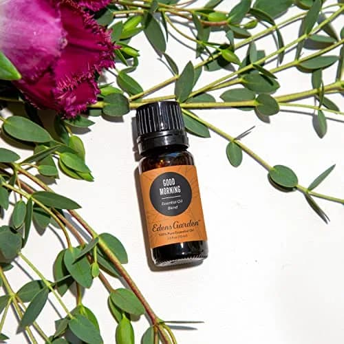 Edens Garden Good Morning Essential Oil Blend 30 ml (1 Fl Oz) | Invigorating Citrus Awakening thumbnail 2