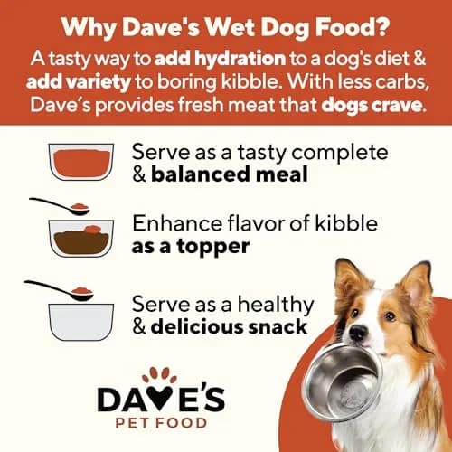 Dave's Pet Food Grain Free Dog Food, Chicken & Vegetable Gravy, 13.2oz | All Natural, Grain-Free Nutrition for Dogs thumbnail 3
