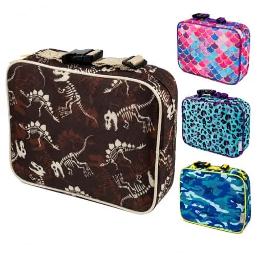 Bentology Kids Insulated Lunch Box Dinosaur Fossils 240cc (10 x 8 x 3 inches) | Food Safe BPA-Free for School thumbnail 1