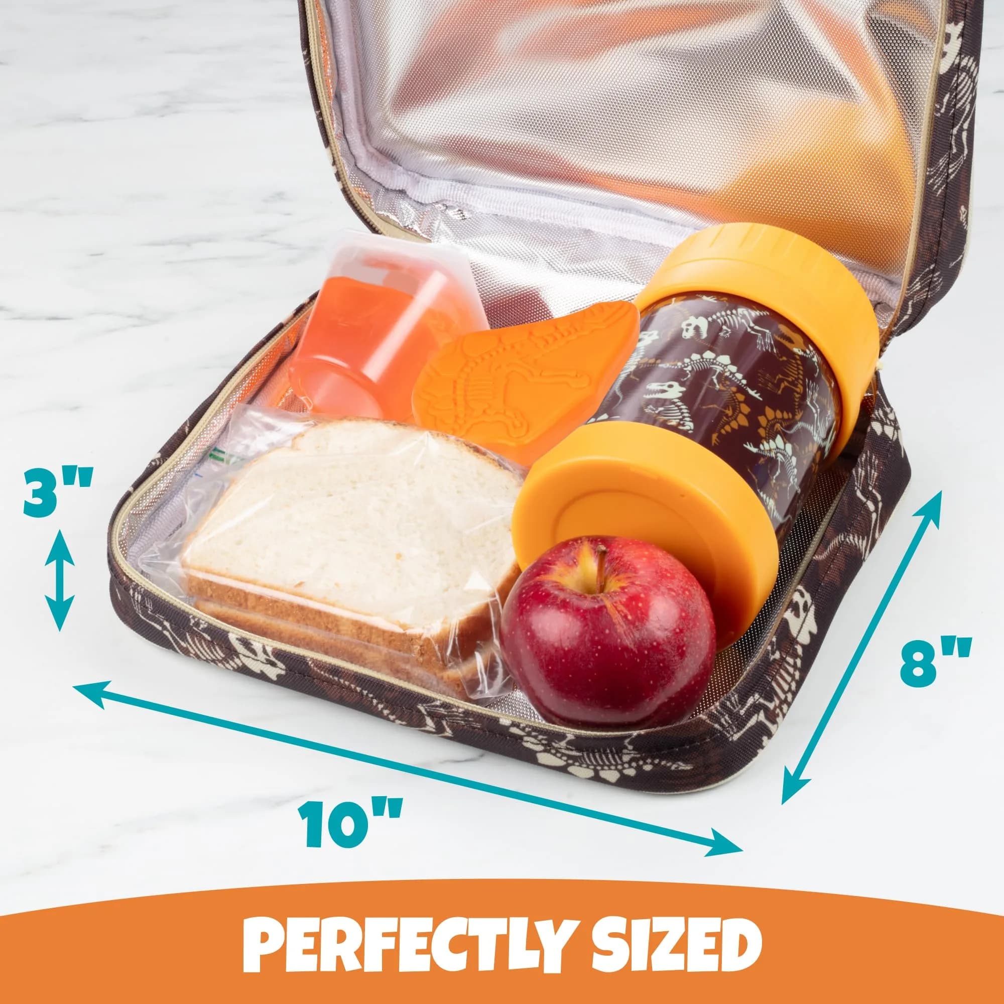Bentology Kids Insulated Lunch Box Dinosaur Fossils 240cc (10 x 8 x 3 inches) | Food Safe BPA-Free for School - view 4