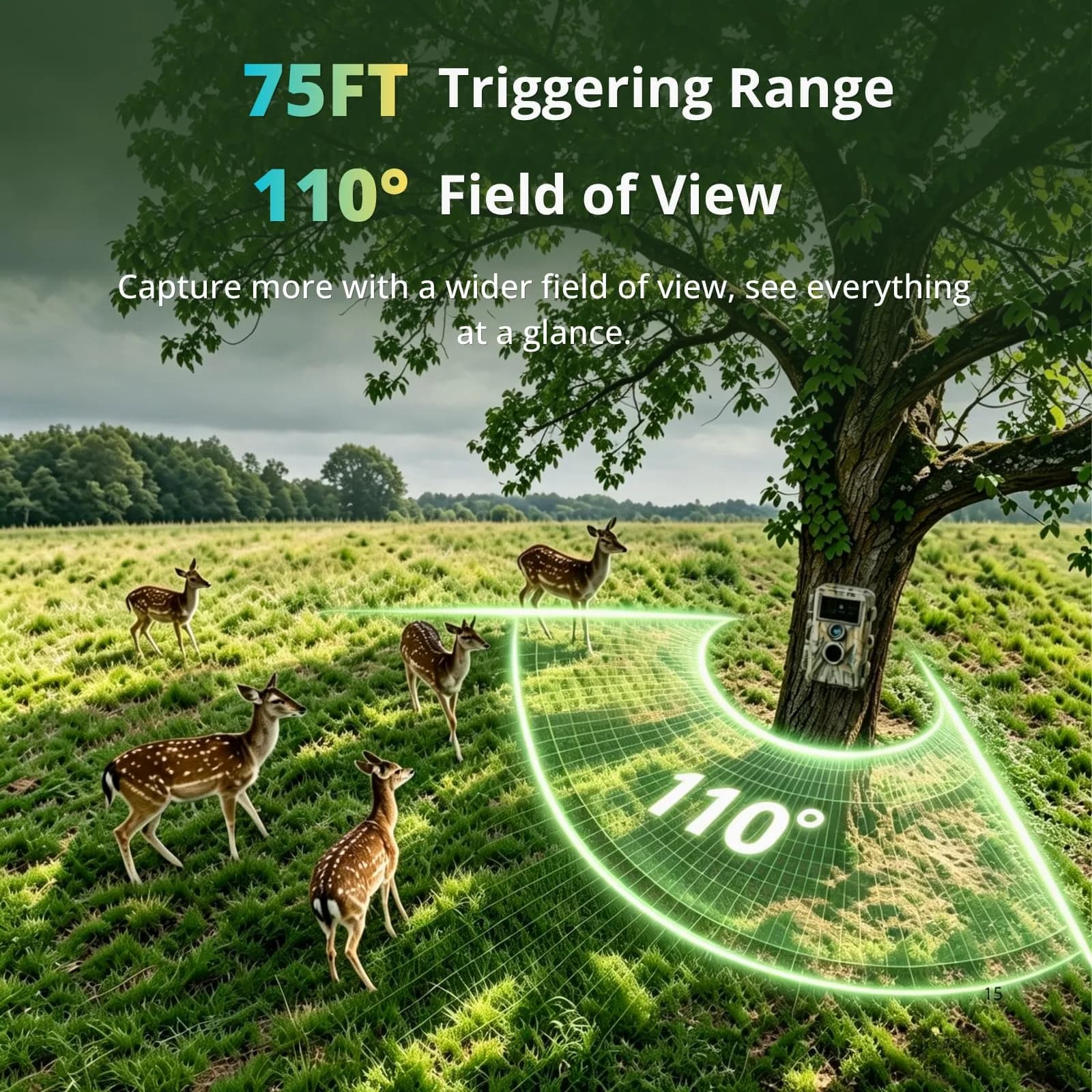 BLAZEVIDEO Trail Camera 64MP 1296P Video, 940nm No-Glow Night Vision, 70° Focused PIR Detection, 0.3s Trigger, 110° FOV, IP66 Cam - view 5