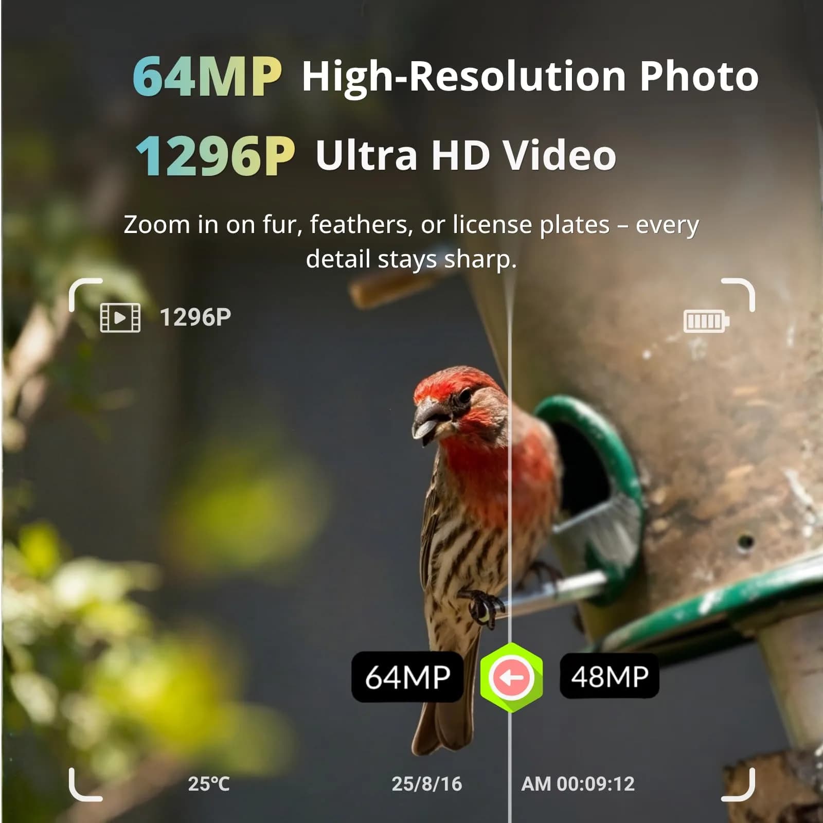 BLAZEVIDEO Trail Camera 64MP 1296P Video, 940nm No-Glow Night Vision, 70° Focused PIR Detection, 0.3s Trigger, 110° FOV, IP66 Cam - view 2