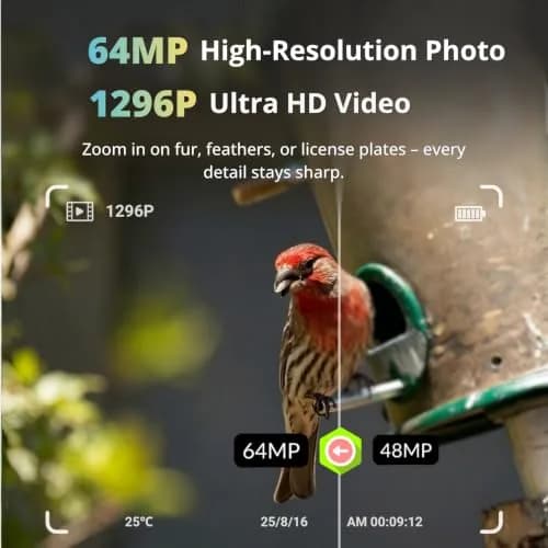 BLAZEVIDEO Trail Camera 64MP 1296P Video, 940nm No-Glow Night Vision, 70° Focused PIR Detection, 0.3s Trigger, 110° FOV, IP66 Cam thumbnail 2