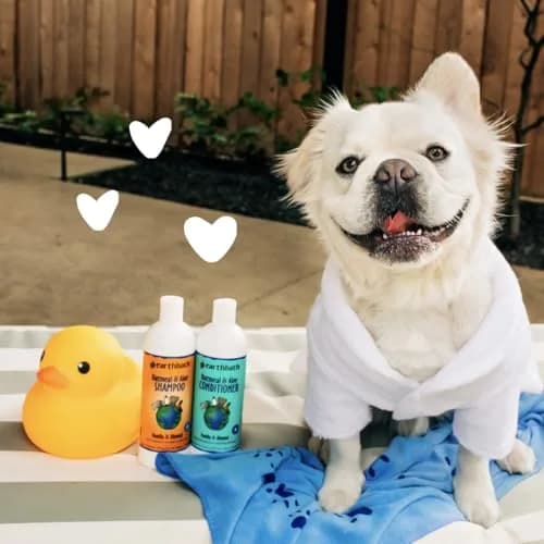 earthbath Oatmeal & Aloe Dog Shampoo and Conditioner 16 Oz | Itchy, Dry Skin Relief, Made in USA thumbnail 5