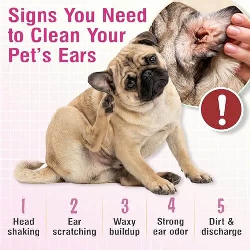 VetWELL Ear Cleaner for Dogs and Cats - Sweet Pea Vanilla - 8 oz | Gentle Deodorizing & Cleaning thumbnail 3