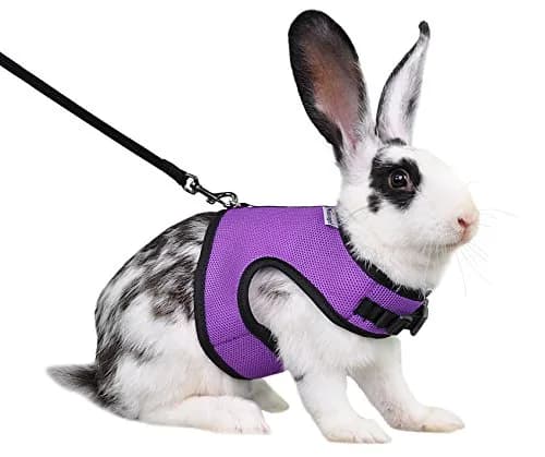Niteangel Adjustable Soft Harness with Elastic Leash for Rabbits (L, Purple) | Escape-Proof & Breathable Mesh thumbnail 1