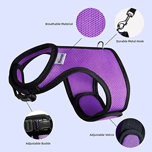 Niteangel Adjustable Soft Harness with Elastic Leash for Rabbits (L, Purple) | Escape-Proof & Breathable Mesh thumbnail 2
