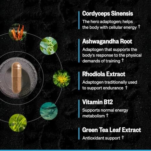 ONNIT Shroom Tech Sport Caffeine-Free Cordyceps Pre-Workout Capsules 28 Count | Supports Exercise Endurance thumbnail 9