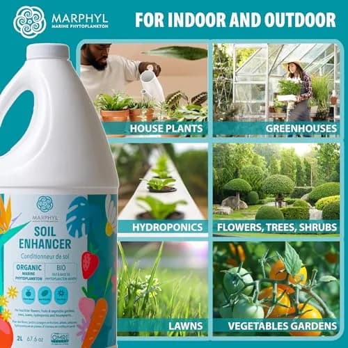MARPHYL All-Purpose Plant Food – Organic Nutrient-Rich Fertilizer & Soil Enhancer for Indoor & Outdoor Flowers, Vegetables, Succulents, Bamboo & Hydroponics | Organic & Environmentally Safe thumbnail 4