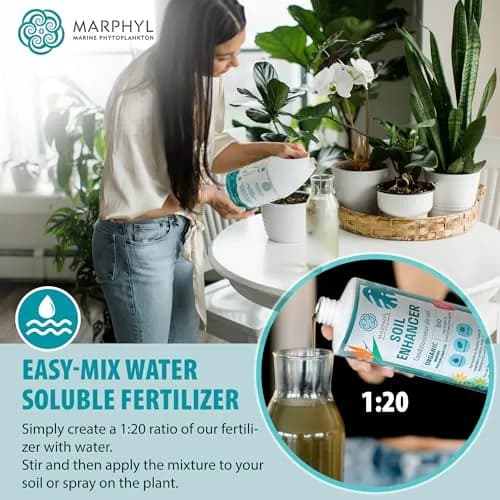 MARPHYL All-Purpose Plant Food – Organic Nutrient-Rich Fertilizer & Soil Enhancer for Indoor & Outdoor Flowers, Vegetables, Succulents, Bamboo & Hydroponics | Organic & Environmentally Safe thumbnail 6