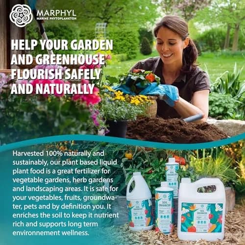 MARPHYL All-Purpose Plant Food – Organic Nutrient-Rich Fertilizer & Soil Enhancer for Indoor & Outdoor Flowers, Vegetables, Succulents, Bamboo & Hydroponics | Organic & Environmentally Safe thumbnail 8