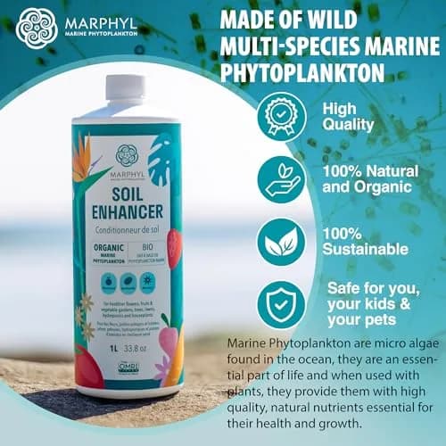MARPHYL All-Purpose Plant Food – Organic Nutrient-Rich Fertilizer & Soil Enhancer for Indoor & Outdoor Flowers, Vegetables, Succulents, Bamboo & Hydroponics | Organic & Environmentally Safe thumbnail 3