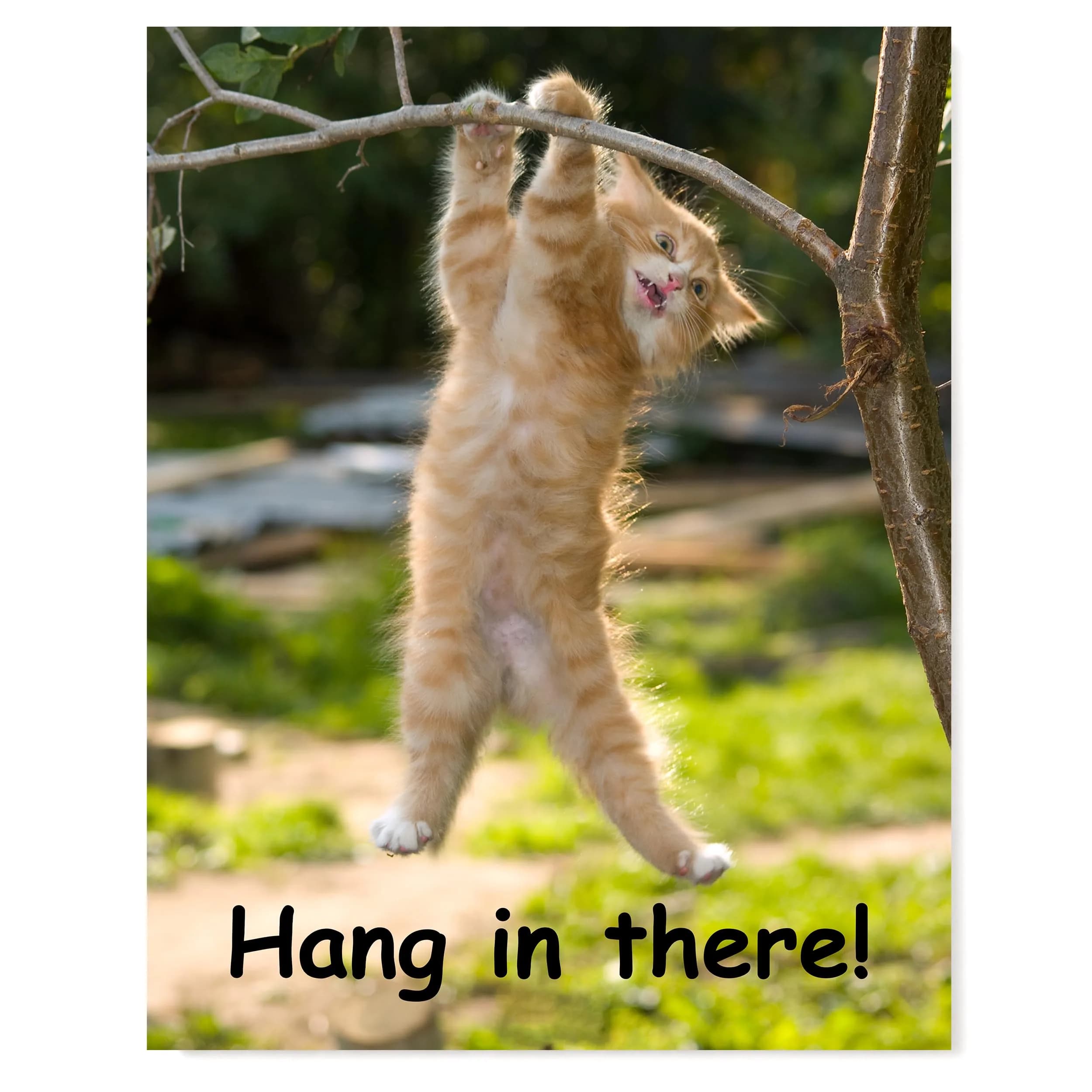 HoneyKICK Hang in There Cat Poster, Funny Motivational Wall Art, 11x14