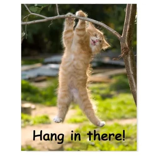 HoneyKICK Hang in There Cat Poster, Funny Motivational Wall Art, 11x14 thumbnail 1