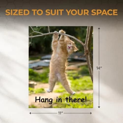 HoneyKICK Hang in There Cat Poster, Funny Motivational Wall Art, 11x14 thumbnail 4
