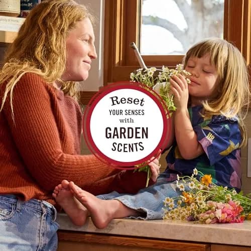 Mrs. MEYER'S Room Spray Honeysuckle 8 Fl Oz | Garden-Inspired Freshness for Indian Homes thumbnail 7
