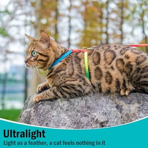 PUPTECK Adjustable Cat Harness and Leash Set | Escape Proof Kitten Strap Collar for Walking & Travel, Multicolor thumbnail 4