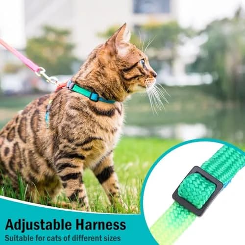 PUPTECK Adjustable Cat Harness and Leash Set | Escape Proof Kitten Strap Collar for Walking & Travel, Multicolor thumbnail 5