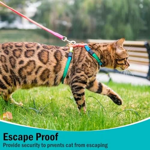 PUPTECK Adjustable Cat Harness and Leash Set | Escape Proof Kitten Strap Collar for Walking & Travel, Multicolor thumbnail 6