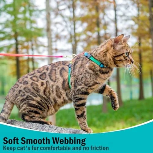 PUPTECK Adjustable Cat Harness and Leash Set | Escape Proof Kitten Strap Collar for Walking & Travel, Multicolor thumbnail 7