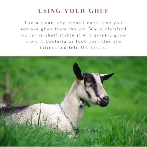 Mt. Capra Goat Milk Ghee | Unsalted, Pasture Raised | 10 fl oz thumbnail 6