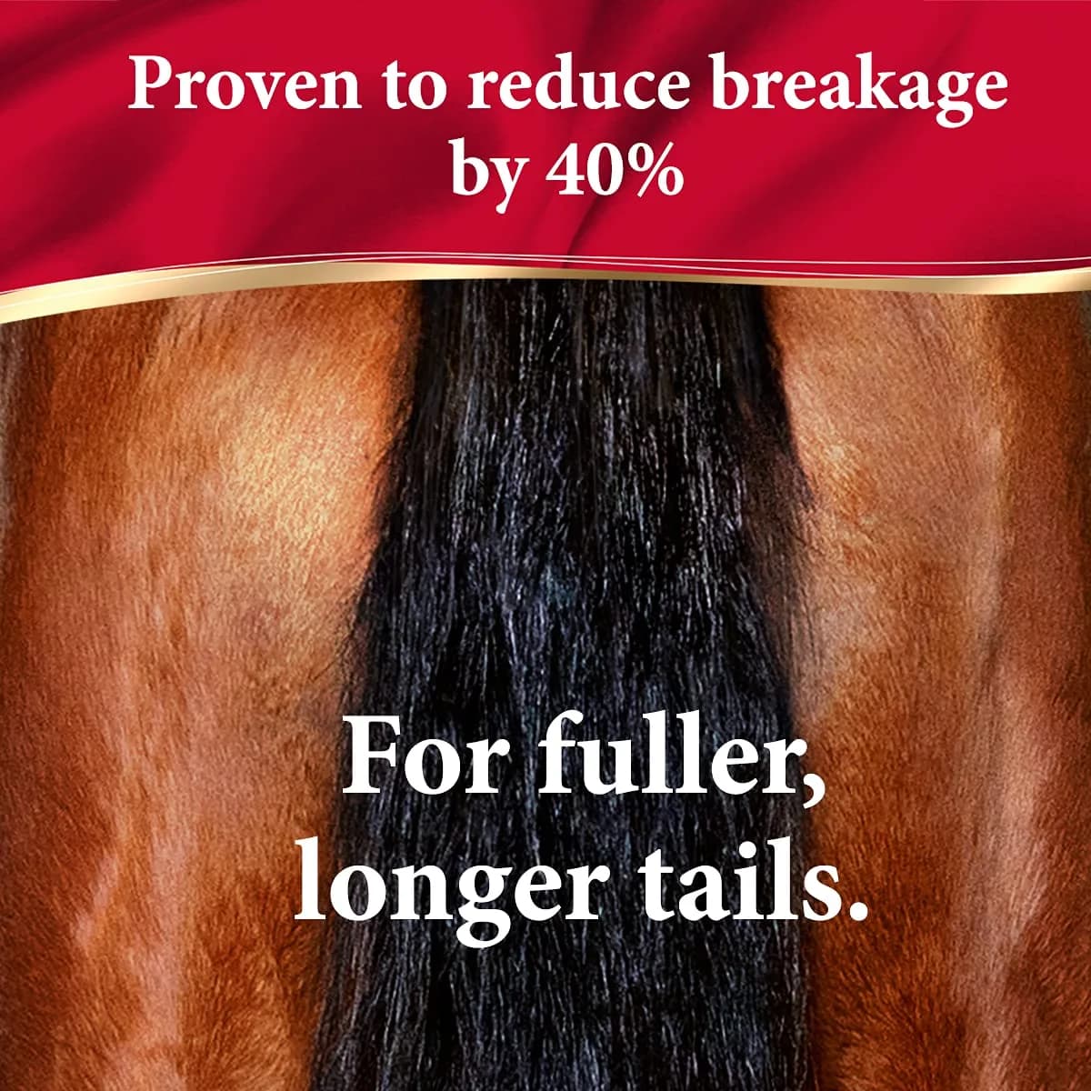 Absorbine ShowSheen 128 fl oz Refill Jug - Hair Polish & Detangler for Horses & Dogs - view 4