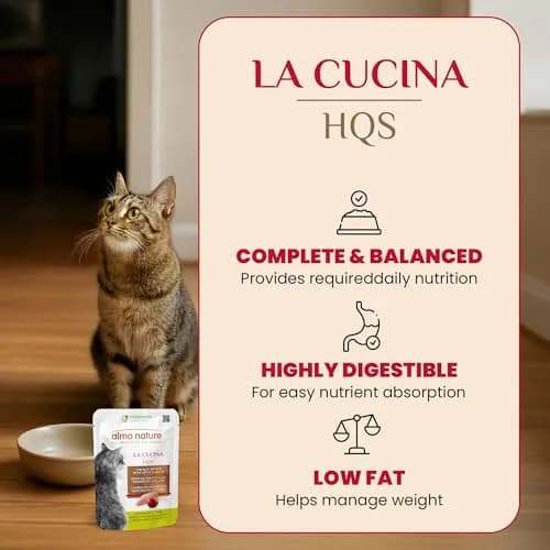 almo nature HQS Complete CAT Wet Cat Food Chicken Dinner with Apple in Jelly - Grain-Free, 1.94 oz (Pack of 12) | Natural & Digestible thumbnail 2