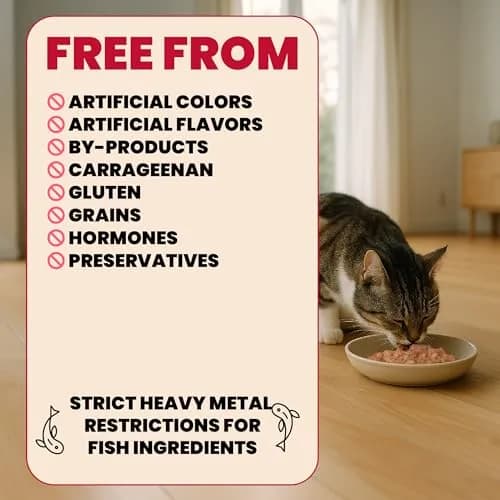 almo nature HQS Complete CAT Wet Cat Food Chicken Dinner with Apple in Jelly - Grain-Free, 1.94 oz (Pack of 12) | Natural & Digestible thumbnail 3
