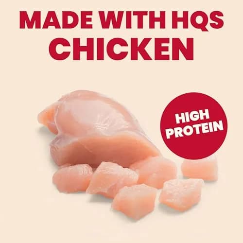 almo nature HQS Complete CAT Wet Cat Food Chicken Dinner with Apple in Jelly - Grain-Free, 1.94 oz (Pack of 12) | Natural & Digestible thumbnail 4