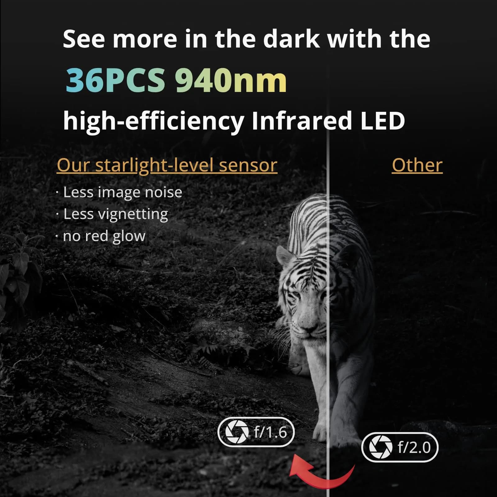 BLAZEVIDEO 2-Pack Trail Camera 64MP 1296P Video, 940nm No-Glow Night Vision, 70° Focused PIR Detection, 0.3s Trigger, IP66 Waterproof - view 3