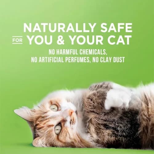 World's Best Cat Litter, Comfort Care, Unscented, Odor Control, 15 lb Bag | Natural Corn Formula, 2X Longer Lasting thumbnail 3