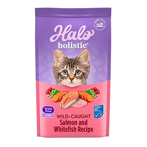 Halo Holistic Dry Kitten Food, Wild-Caught Salmon & Whitefish Recipe, 6 lb | Complete Digestive & Development Support thumbnail 1