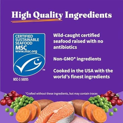Halo Holistic Dry Kitten Food, Wild-Caught Salmon & Whitefish Recipe, 6 lb | Complete Digestive & Development Support thumbnail 6