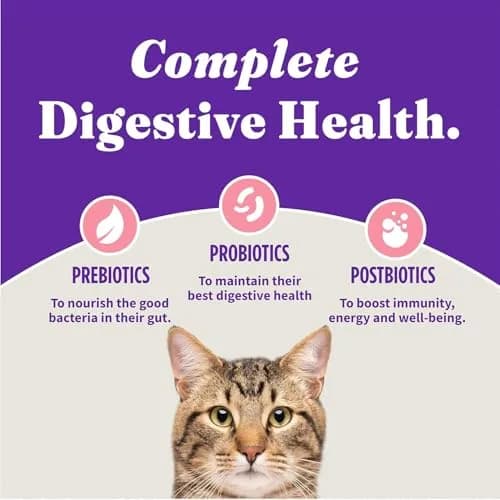 Halo Holistic Dry Kitten Food, Wild-Caught Salmon & Whitefish Recipe, 6 lb | Complete Digestive & Development Support thumbnail 7